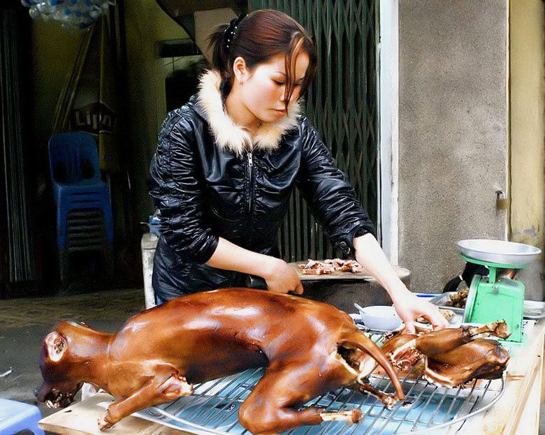 dog-meat.jpg
