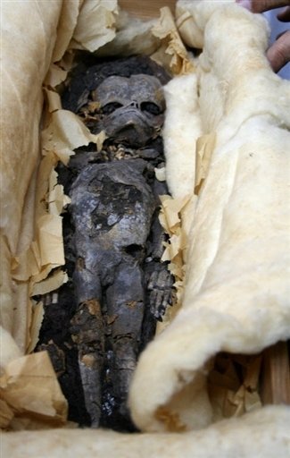 The mummified remains of two foetuses found in the tomb of Tutankhamun